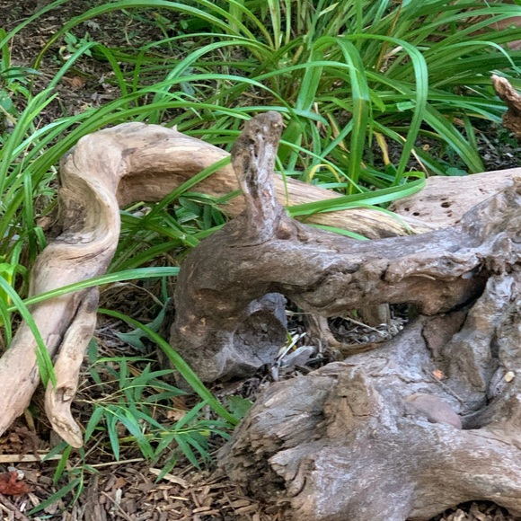 Mike and Kim welcome you to West Virginia Threads - Picture 13 of 16